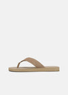NEW CAMEL