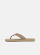 NEW CAMEL